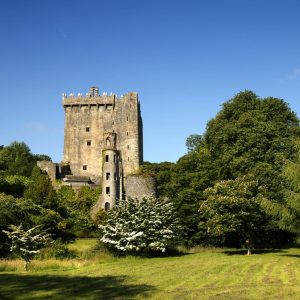 cork city tours.com